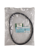 Cinghia LAND ROVER PQS000190